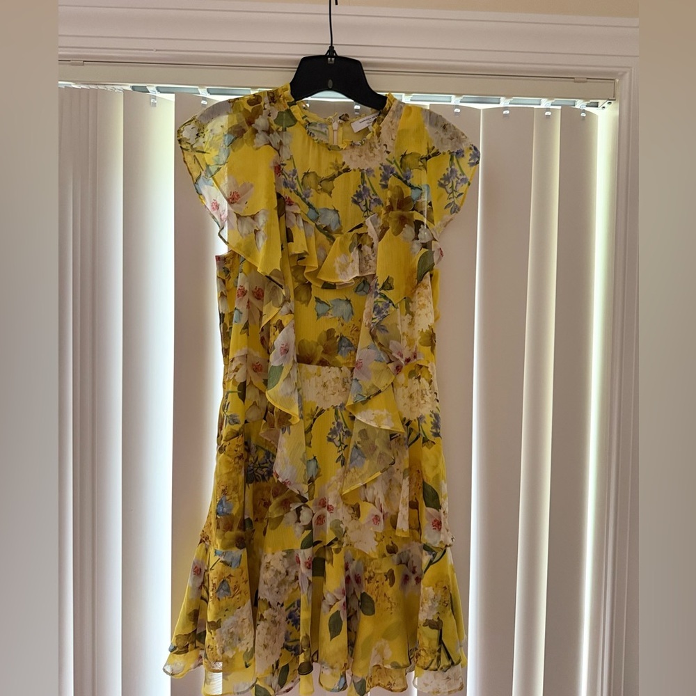 Marissa Webb Collective Ruffle Floral Mini Dress sz4 - Picture 5 of 8